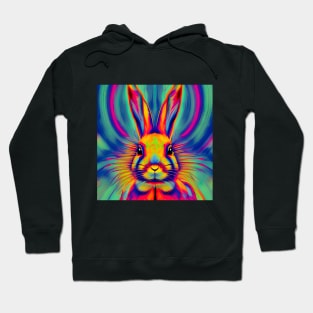 Psychedelic Rabbit Hoodie